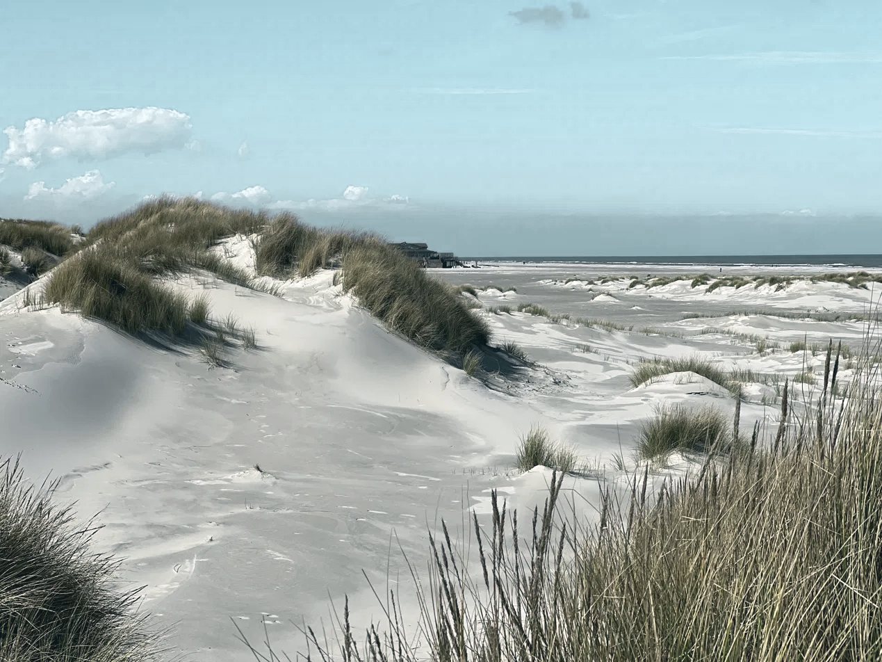 Dünenkamm mit Blick auf das Meer